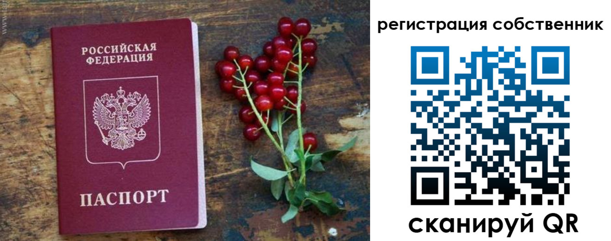 регистрация для дет. сада в Ишиме
